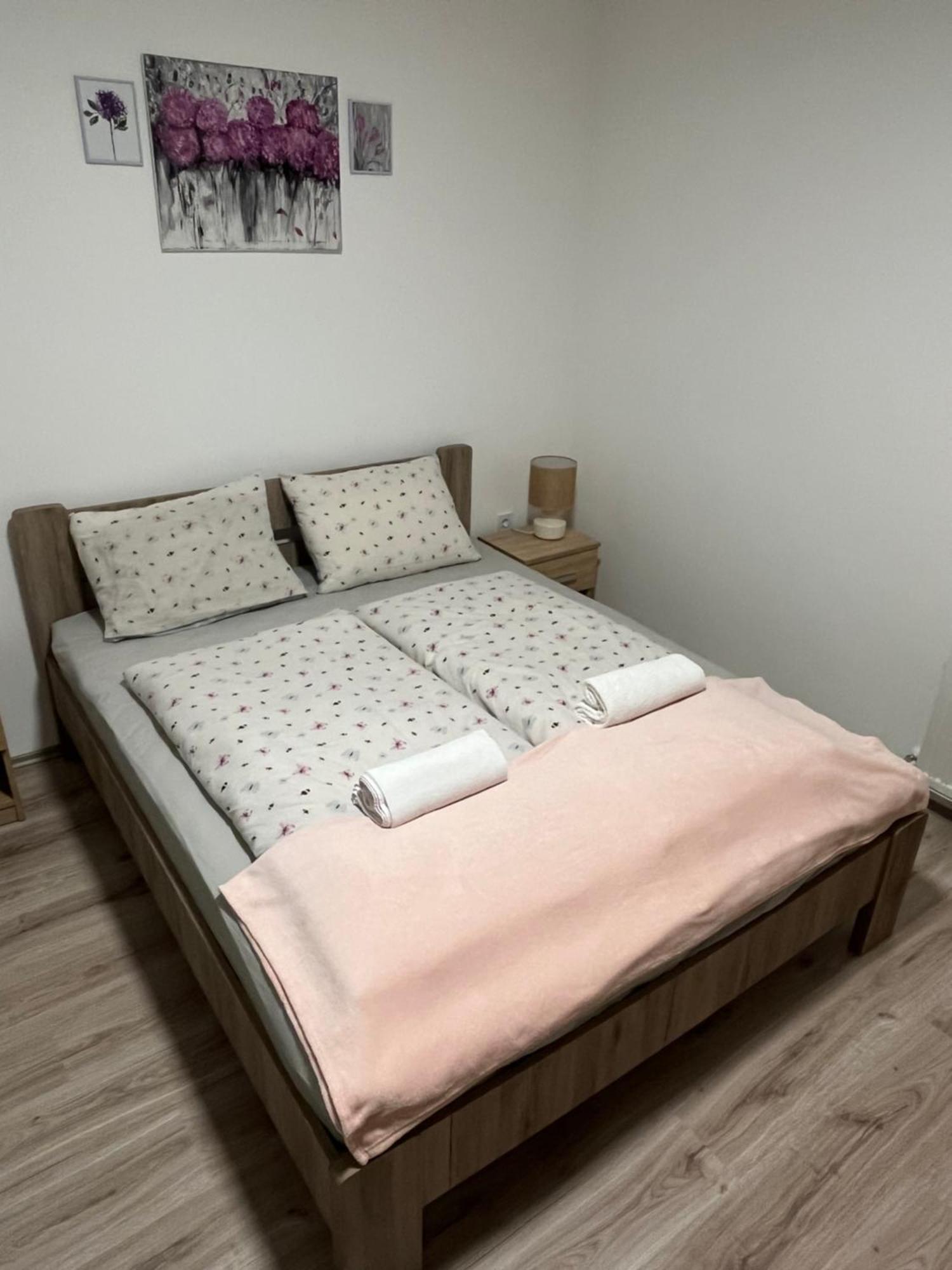 Mini Zoo Apartman ナジカニジャ エクステリア 写真
